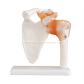 /msite/products/detail/productid/14014941/id/186332.html